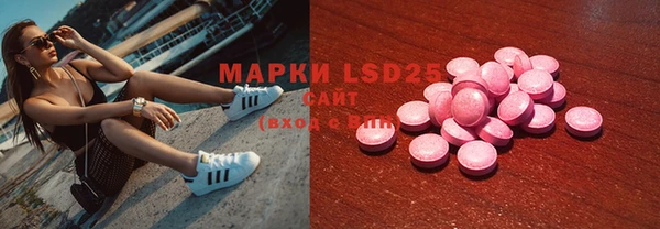 ешки Аркадак
