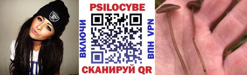 Псилоцибиновые грибы MAGIC MUSHROOMS  Купить закладки  Ангарск 
